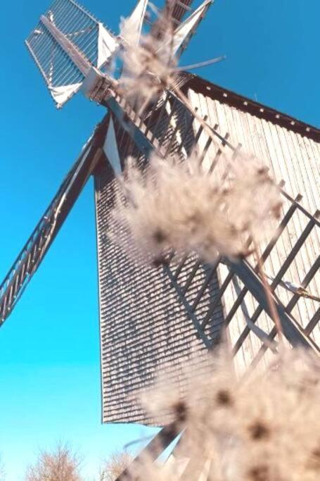La Maison Des Delices Dosches Exteriör bild